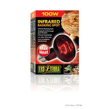 Charger l'image dans la galerie, Ampoule à infrarouge Exo Terra pour lézarder, R25, 100 W - Boutique Le Jardin Des Animaux -Eclairage reptileBoutique Le Jardin Des AnimauxPt2144