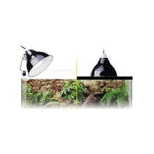 Charger l'image dans la galerie, Ampoule à lumière du jour Exo Terra pour lézarder - Boutique Le Jardin Des Animaux -Eclairage reptileBoutique Le Jardin Des AnimauxPT2195