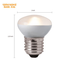 Charger l'image dans la galerie, Ampoule diurne Vision pour lézarder, 25 W - Boutique Le Jardin Des Animaux -Accessoire pour oiseauxBoutique Le Jardin Des Animaux83840