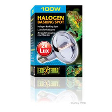 Charger l'image dans la galerie, Ampoule halogène Sun Glo Exo Terra à lumière du jour et au néodyme, 100 W - Boutique Le Jardin Des Animaux -Eclairage reptileBoutique Le Jardin Des AnimauxPT2183