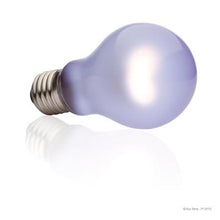 Charger l'image dans la galerie, Ampoule infrarouge Exo Terra à lumière du jour, A19, 100 W - Boutique Le Jardin Des Animaux -Eclairage reptileBoutique Le Jardin Des AnimauxPT2111