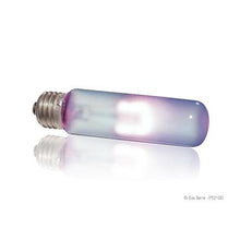 Charger l'image dans la galerie, Ampoule infrarouge Exo Terra à lumière du jour, T10, 25 W - Boutique Le Jardin Des Animaux -Eclairage reptileBoutique Le Jardin Des AnimauxPT2102