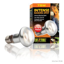 Charger l'image dans la galerie, Ampoule Intense Exo Terra pour lézarder, S20, 75 W - Boutique Le Jardin Des Animaux -Eclairage reptileBoutique Le Jardin Des AnimauxPt2136