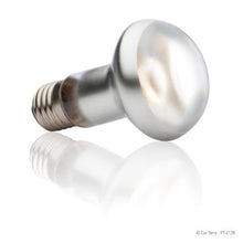 Charger l'image dans la galerie, Ampoule Intense Exo Terra pour lézarder, S20, 75 W - Boutique Le Jardin Des Animaux -Eclairage reptileBoutique Le Jardin Des AnimauxPt2136