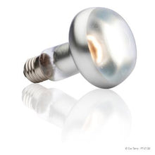 Charger l'image dans la galerie, Ampoule Intense Exo Terra pour lézarder, S25, 100 W - Boutique Le Jardin Des Animaux -Eclairage reptileBoutique Le Jardin Des AnimauxPt2138