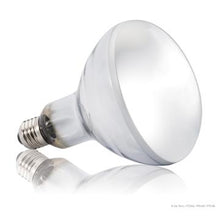 Charger l'image dans la galerie, Ampoule Solar Glo Exo Terra simulant la lumière du soleil, 160 W - Boutique Le Jardin Des Animaux -Eclairage reptileBoutique Le Jardin Des AnimauxPT2193