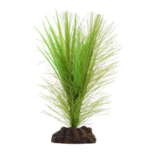 Charger l'image dans la galerie, Aqualife plante Myriophylle brésilien vert et Vallisnérie - Boutique Le Jardin Des Animaux -DécorationBoutique Le Jardin Des Animauxpp1630