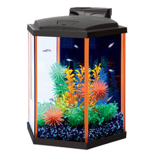 Charger l'image dans la galerie, Aquarium équipé Aqueon, NeoGlow LED, 8 gallons, orange - Boutique Le Jardin Des Animaux -AquariumBoutique Le Jardin Des Animaux22675