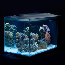 Charger l'image dans la galerie, Aquarium équipé EVO Fluval Sea, 52 L (13,5 gal US) - Boutique Le Jardin Des Animaux -AquariumBoutique Le Jardin Des Animaux10531
