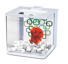 Charger l'image dans la galerie, Aquarium équipé EZ Care de 2,5L pour betta - Boutique Le Jardin Des Animaux -AquariumBoutique Le Jardin Des Animaux13357