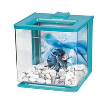 Charger l'image dans la galerie, Aquarium équipé EZ Care de 2,5L pour betta - Boutique Le Jardin Des Animaux -AquariumBoutique Le Jardin Des Animaux13359