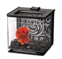 Charger l'image dans la galerie, Aquarium équipé EZ Care Marina pour betta, noir, 2,5 L (0,7 gal US) - Boutique Le Jardin Des Animaux -AquariumBoutique Le Jardin Des Animaux13358