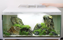 Charger l'image dans la galerie, Aquarium équipé FLEX Fluval, blanc, 123 L (32,5 gal US) - Boutique Le Jardin Des Animaux -AquariumBoutique Le Jardin Des Animaux14996