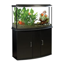 Charger l'image dans la galerie, Aquarium équipé haut de gamme 45 Fluval à devant arrondi avec éclairage à DEL, 170 L (45 gal US) - Boutique Le Jardin Des Animaux -AquariumBoutique Le Jardin Des Animaux15232