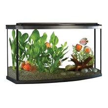 Charger l'image dans la galerie, Aquarium équipé haut de gamme 45 Fluval à devant arrondi avec éclairage à DEL, 170 L (45 gal US) - Boutique Le Jardin Des Animaux -AquariumBoutique Le Jardin Des Animaux15232