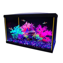 Charger l'image dans la galerie, Aquarium équipé iGlo Marina, 19 L (5 gal US) - Boutique Le Jardin Des Animaux -AquariumBoutique Le Jardin Des Animaux15252