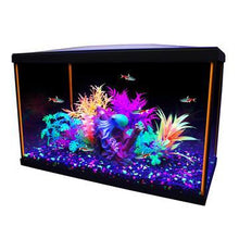 Charger l'image dans la galerie, Aquarium équipé iGlo Marina, 68 L (20 gal US) - Boutique Le Jardin Des Animaux -AquariumBoutique Le Jardin Des Animaux15259
