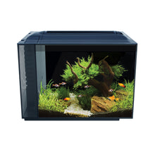 Charger l'image dans la galerie, Aquarium équipé SPEC Fluval, noir, 60 L (16 gal US) - Boutique Le Jardin Des Animaux -AquariumBoutique Le Jardin Des Animaux10525