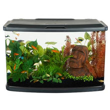 Charger l'image dans la galerie, Aquarium équipé Vista Fluval, 60 L (16 gal US) - Boutique Le Jardin Des Animaux -AquariumBoutique Le Jardin Des Animaux15245