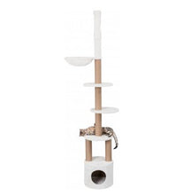 Charger l'image dans la galerie, Arbre à chat Aurelio, du sol au plafond - Trixie - Boutique Le Jardin Des Animaux -Griffoir, meuble et litBoutique Le Jardin Des AnimauxTRE44072