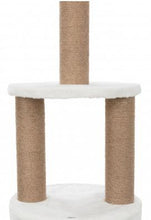 Charger l'image dans la galerie, Arbre à chat Aurelio, du sol au plafond - Trixie - Boutique Le Jardin Des Animaux -Griffoir, meuble et litBoutique Le Jardin Des AnimauxTRE44072