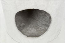 Charger l'image dans la galerie, Arbre à chat Aurelio, du sol au plafond - Trixie - Boutique Le Jardin Des Animaux -Griffoir, meuble et litBoutique Le Jardin Des AnimauxTRE44072