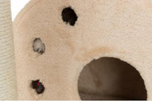 Charger l'image dans la galerie, Arbre à chat, Salamanca - Trixie - Boutique Le Jardin Des Animaux -Griffoir, meuble et litBoutique Le Jardin Des AnimauxTRE43731