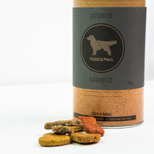 Charger l'image dans la galerie, Biscuits végétariens - Saveurs assorties - Todd & Paul, 200g - Boutique Le Jardin Des Animaux -Gâterie pour chienBoutique Le Jardin Des Animaux