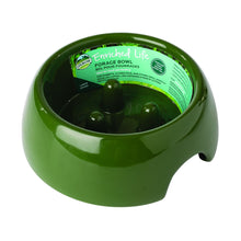 Charger l'image dans la galerie, Oxbow Enriched Life Bol De Fourrage