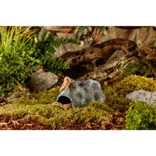 Charger l'image dans la galerie, Cachettes Wet Cave Exo Terra, grotte céramique hygroscopique, moyen - Boutique Le Jardin Des Animaux -DécorationBoutique Le Jardin Des AnimauxPT3172