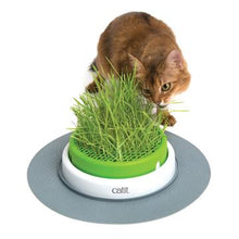 Charger l'image dans la galerie, Catit 2.0 jardinière d'herbe à chat à cultiver - Boutique Le Jardin Des Animaux -Herbe à chatBoutique Le Jardin Des Animaux43161w