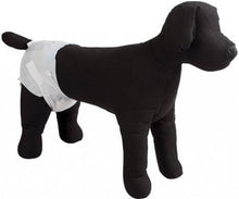 Charger l'image dans la galerie, Couches jetables Dogit Clean, moyennes, paquet de 12 - Boutique Le Jardin Des Animaux -entrainement proprrtéBoutique Le Jardin Des Animaux70503