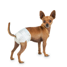 Charger l'image dans la galerie, Couches jetables Dogit Clean, petites, paquet de 12 - Boutique Le Jardin Des Animaux -entrainement proprrtéBoutique Le Jardin Des Animaux70501