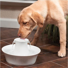 Charger l'image dans la galerie, Drinkwell - Fontaine en céramique pour animaux de compagnie Avalon - Blanc - Boutique Le Jardin Des Animaux -AbreuvoirBoutique Le Jardin Des AnimauxAVALON-CA-17