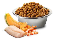 Charger l'image dans la galerie, FARMINA MORUE, CREVETTE, POTIRON & MELON POUR CHATON - Boutique Le Jardin Des Animaux -Nourriture chatBoutique Le Jardin Des AnimauxFA03885