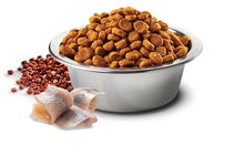 Charger l'image dans la galerie, FARMINA SANS GRAINS QUINOA ET HARANG, PEAU & POILS, POUR CHAT ADULTE - Boutique Le Jardin Des Animaux -Nourriture chatBoutique Le Jardin Des AnimauxFA03581