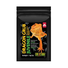 Charger l'image dans la galerie, Granulés Dragon Grub Exo Terra à base d’insectes pour Dragon barbu juvénile - Boutique Le Jardin Des Animaux -nourriture reptileBoutique Le Jardin Des AnimauxPT3263