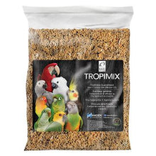 Charger l'image dans la galerie, Hagen Tropimix formule aux oeufs pour perruches ondulées, serins et pinsons - Boutique Le Jardin Des Animaux -Nourriture oiseauxBoutique Le Jardin Des Animaux80603