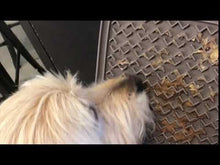 Charger et lire la vidéo dans la visionneuse de la Galerie, Tapis de léchage thérapeutique en silicone, Gris