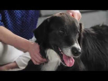 Charger et lire la vidéo dans la visionneuse de la Galerie, FURminator peigne lame pour le sous-poils chien poil court