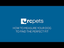 Charger et lire la vidéo dans la visionneuse de la Galerie, RC Pet Harnais Step In Cirque Mulberry