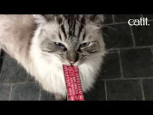 Charger et lire la vidéo dans la visionneuse de la Galerie, Jouet pour chat poisson dansant + 2 tubes Catit Creamy