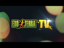 Charger et lire la vidéo dans la visionneuse de la Galerie, Thermostat Exo Terra à variateur et à pulsion proportionnelle, 300 W