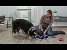 Charger et lire la vidéo dans la visionneuse de la Galerie, Trixie Jouet stratégique - Poker Box 1