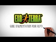 Charger et lire la vidéo dans la visionneuse de la Galerie, Granulés Dragon Grub Exo Terra à base d’insectes pour Dragon barbu juvénile