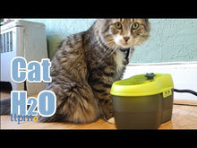 Charger et lire la vidéo dans la visionneuse de la Galerie, Dog H2O- Fontaine abreuvoir sans fil pour chien 6 litres bleu