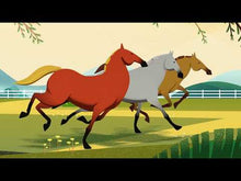 Charger et lire la vidéo dans la visionneuse de la Galerie, Silver Honey - pour une réparation rapide des plaies 8oz - Absorbine