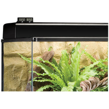 Charger l'image dans la galerie, Hygromètre numérique Exo Terra - Boutique Le Jardin Des Animaux -brumisateurBoutique Le Jardin Des AnimauxPT2477