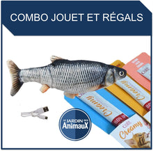 Charger l'image dans la galerie, Jouet pour chat poisson dansant + 2 tubes Catit Creamy - Boutique Le Jardin Des Animaux -Jouet chatBoutique Le Jardin Des Animauxvp1568 + Creamy