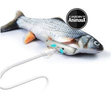 Charger l'image dans la galerie, Jouet pour chat poisson dansant - Boutique Le Jardin Des Animaux -Jouet chatBoutique Le Jardin Des Animauxvp1568